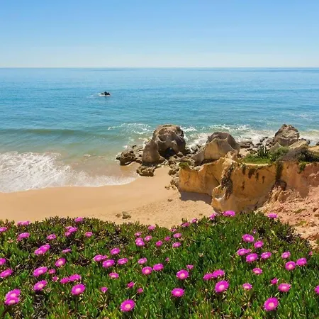 Διαμέρισμα Condo-pool Walk To The By Algarve Dream Holidays *